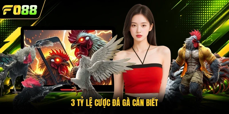 3 tỷ lệ cược đá gà cần biết