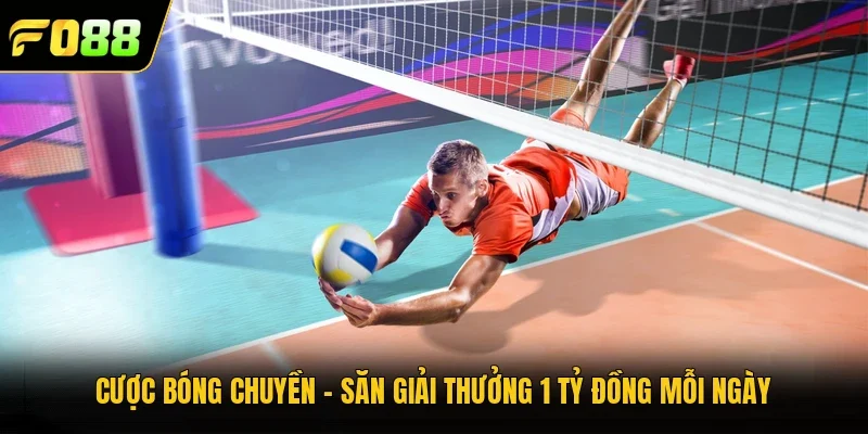 Cược Bóng Chuyền – Săn Giải Thưởng 1 Tỷ Đồng Mỗi Ngày