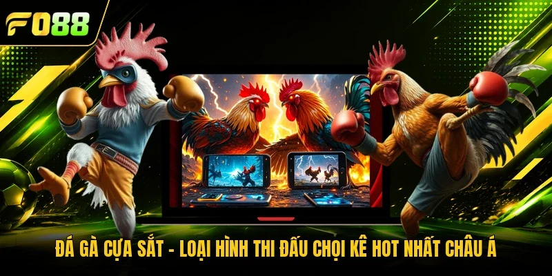 Đá gà cựa sắt - Loại hình thi đấu chọi kê hot nhất châu Á 