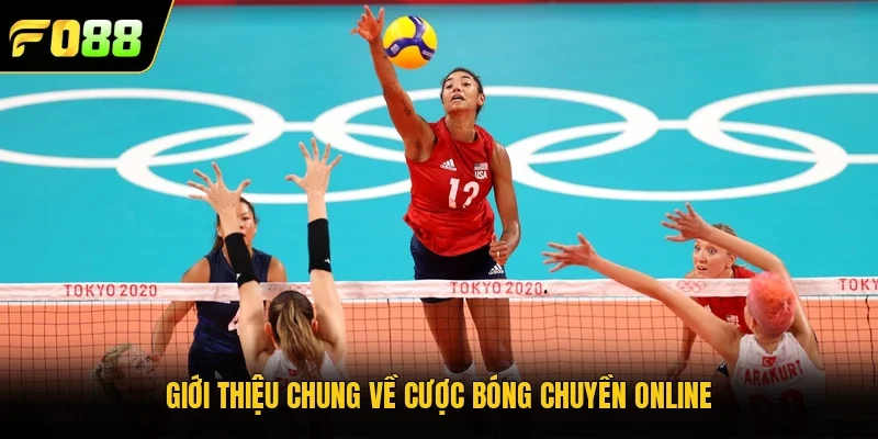 Giới thiệu chung về cược bóng chuyền online 