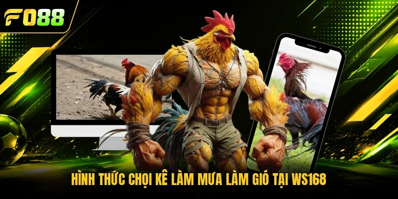 Hình thức chọi kê làm mưa làm gió tại WS168