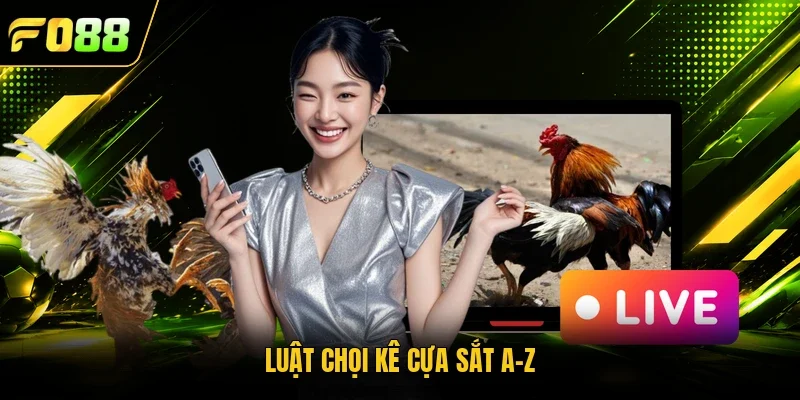 Luật chọi kê cựa sắt A-Z