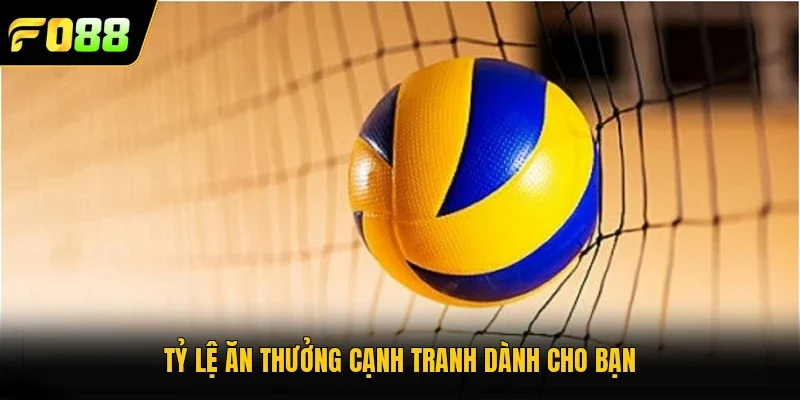 Tỷ lệ ăn thưởng cạnh tranh dành cho bạn